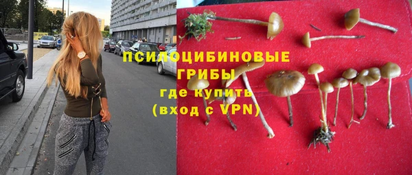 mdpv Белокуриха
