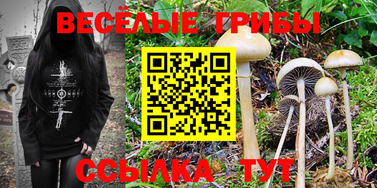 Псилоцибиновые грибы GOLDEN TEACHER  Псилоцибиновые грибы MAGIC MUSHROOMS  Вход с VPN  Славгород 
